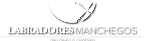 Labradores Manchegos